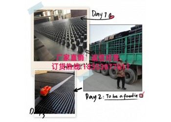泉州車庫過濾排水板/凹凸排水板生產(chǎn)廠家