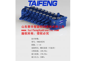供應(yīng)泰豐廠家直銷(xiāo)TRM20多路換向閥