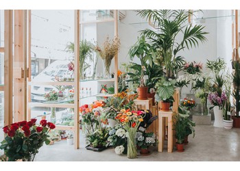 合肥花店裝修要點(diǎn)，網(wǎng)紅花店這樣設(shè)計(jì)，讓你的夢想照進(jìn)現(xiàn)實(shí)