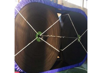 青島尼龍輸送帶生產廠家NN100型