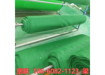 揚州三維植被網(wǎng)廠家直接發(fā)貨