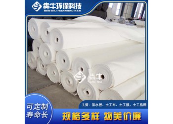 德宏道路加筋養(yǎng)護土工布款式新穎
