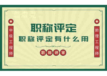 陜西省工程師職稱評(píng)審委員會(huì)對(duì)業(yè)績(jī)材料的要求