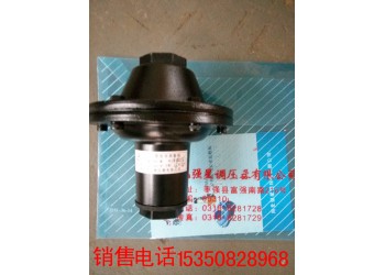 供應(yīng)RAF型燃?xì)獍踩派㈤y