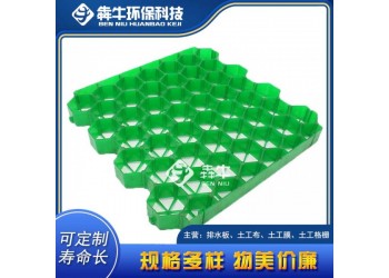 湛江停車(chē)場(chǎng)塑料植草格款式新穎