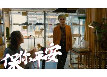 電影《保你平安》投資5W能賺多少？怎么個人投資？