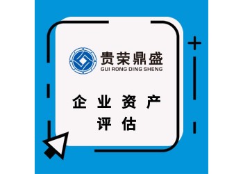 貴州省貴陽市企業股權價值評估股東價值評估企業負債評估