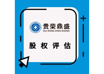 成都市天府新區企業兼并收購或分立評估合資評估承包評估
