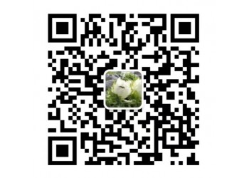 網絡奇幻電影《奇門遁甲2》能否超越前作?適合個人投資嗎?