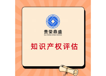 湖北省襄陽(yáng)市技術(shù)評(píng)估無(wú)形資產(chǎn)評(píng)估入賬稅收個(gè)人軟著評(píng)估