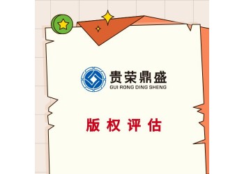 廣東省河源市企業技術出資評估知識產權評估專利出資評估