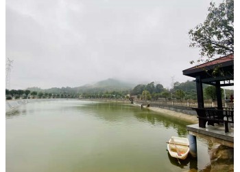長(zhǎng)沙團(tuán)建去零點(diǎn)團(tuán)建提供活動(dòng)方案和道具