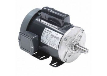 馬拉松 Marathon 電機