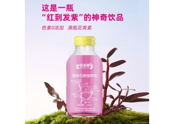 鐵皮石斛植物飲品招代理商 鐵皮石斛植物飲品大量批發