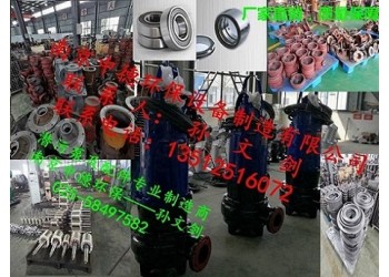 南京中德大量供應(yīng)潛水排污泵葉輪、蝸殼、底座、機(jī)封、電纜等配件