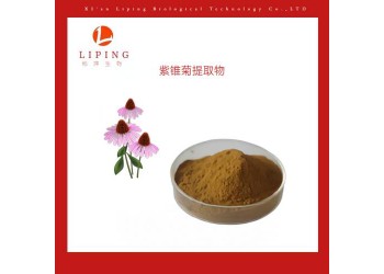 供應紫錐菊提取物菊苣酸1% 2%CAS號70831-56-0