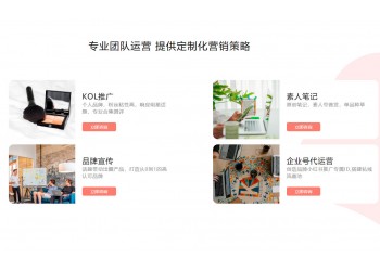 食品類小紅書營銷方案 小紅書廣告投放上海氖天