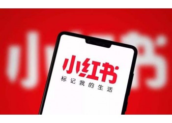 新品牌進(jìn)入市場(chǎng)的小紅書推廣方案上海氖天