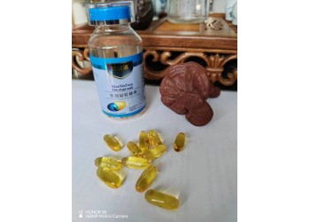魚油凝膠糖果廠家OEM貼牌代加工 免費包裝設計