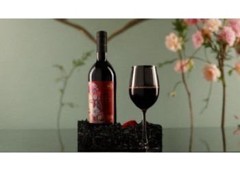 翁虹自創(chuàng)緋虹葡萄酒品牌國產(chǎn)赤霞珠紅酒絲路酒莊干紅
