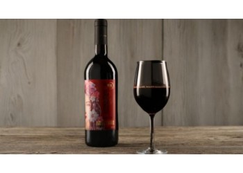 緋虹葡萄酒干紅翁虹代言750ml國產(chǎn)赤霞珠紅酒品牌