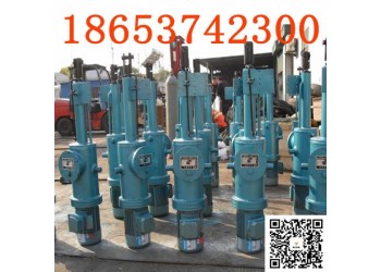 DT700整體直式電動(dòng)推桿微型平行式電動(dòng)推桿光滑度高密度高