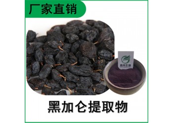 森冉生物 黑加侖提取物 黑加侖粉 比例提取原料粉